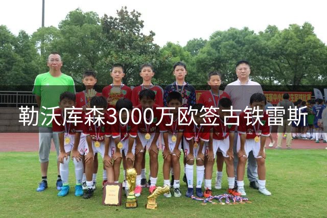 勒沃库森3000万欧签古铁雷斯