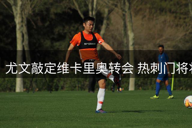 尤文敲定维卡里奥转会 热刺门将将重返意甲赛场