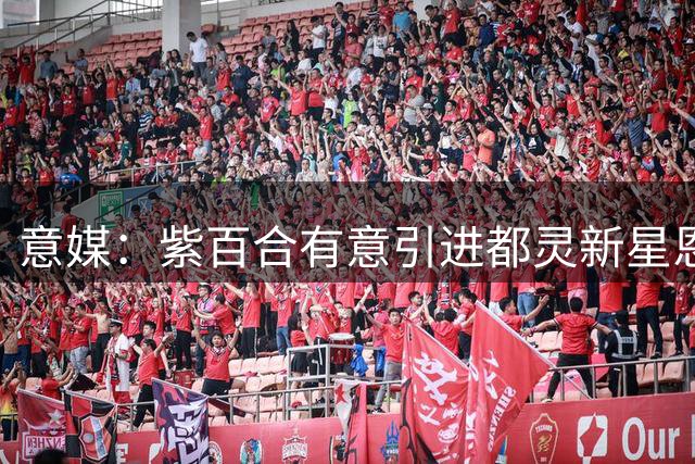 意媒：紫百合有意引进都灵新星恩杰 拟用曼德拉戈拉交换