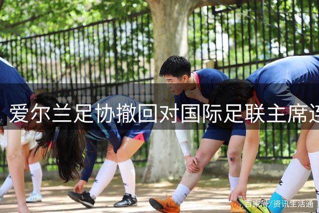 爱尔兰足协撤回对国际足联主席连任支持